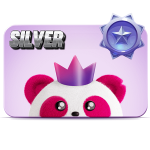 SILVER Card